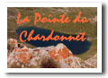 La Pointe du Chardonnet